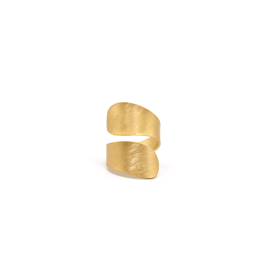 Anillo Spiral