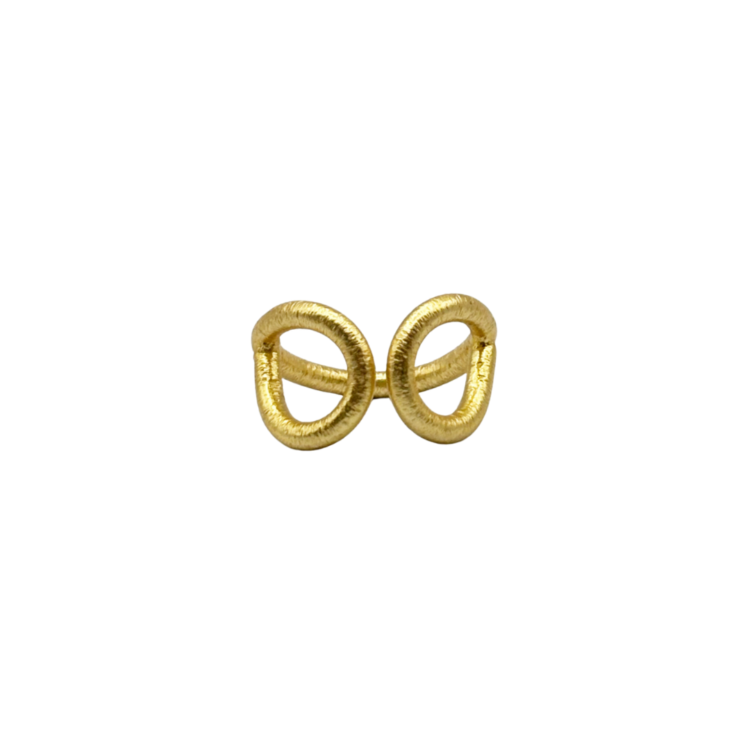 Anillo Hole